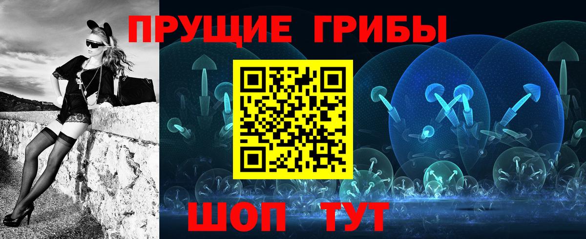 Строитель  где купить наркотик  Вход с VPN  Псилоцибиновые грибы прущие грибы 